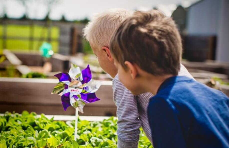 Two young boys playing with a purple and silver pinwheel at a community garden