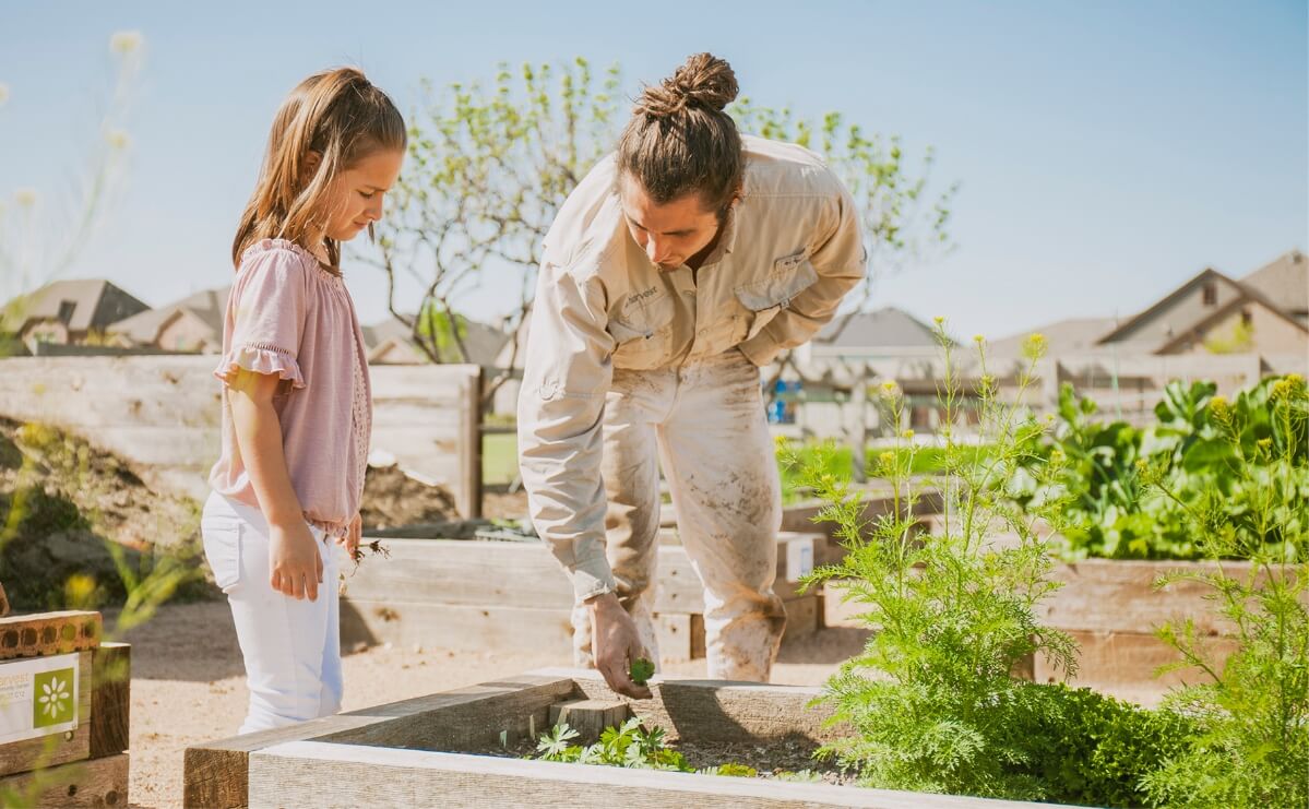 A father helping his daughter plant vegetables at a community garden