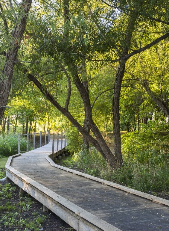 One of the wooden walking paths through a natural area at Union Park