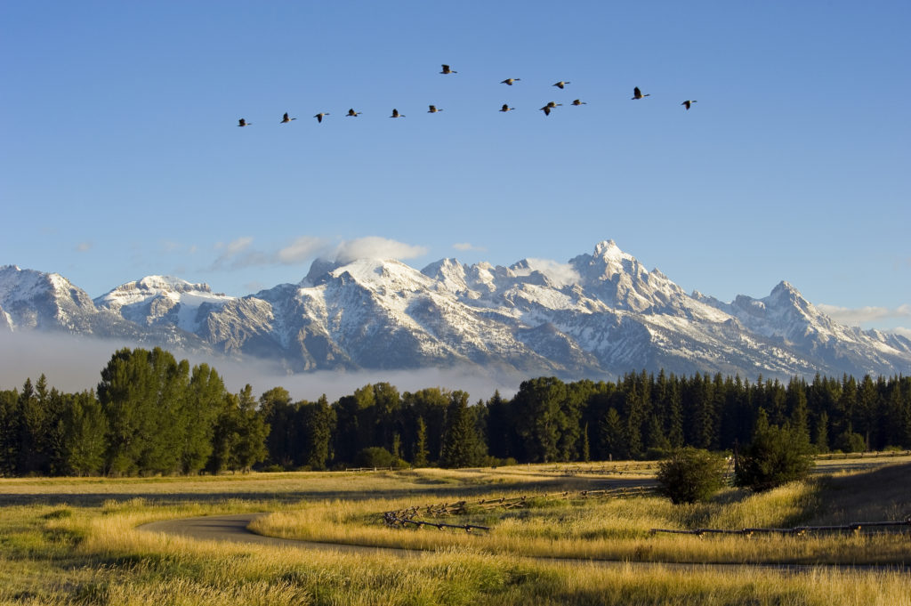The beautiful mountainous landscape of Bar BC Ranch in Wyoming