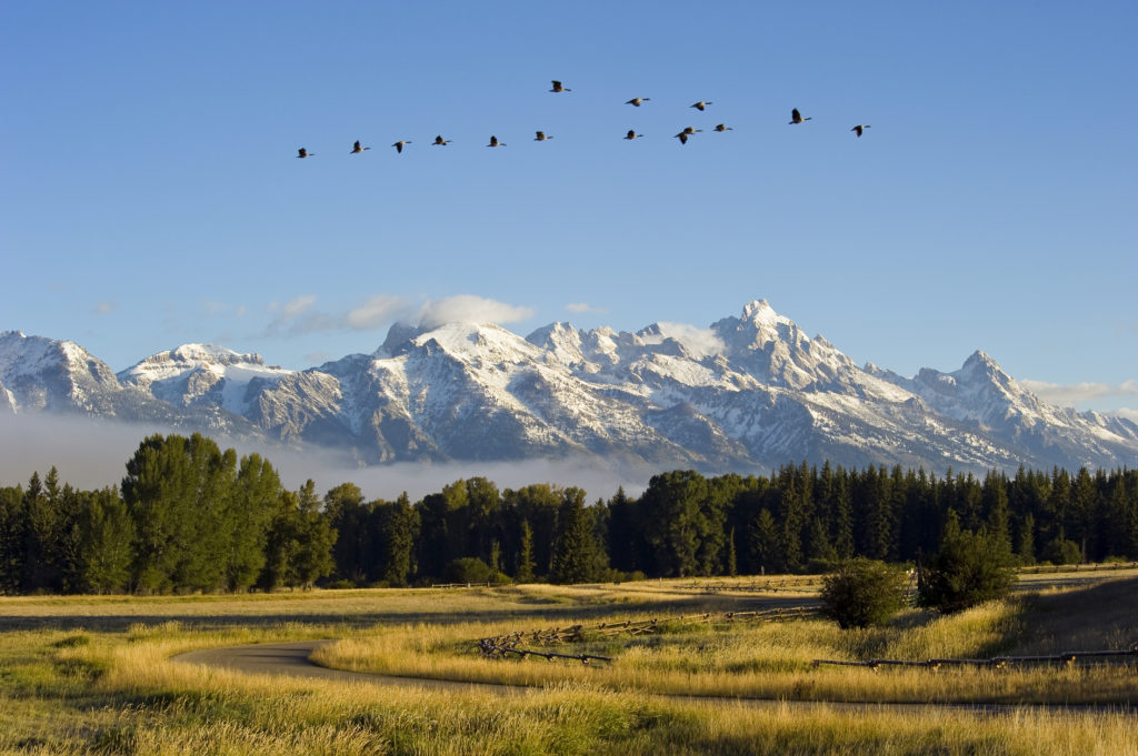 The beautiful mountainous landscape of Bar BC Ranch in Wyoming