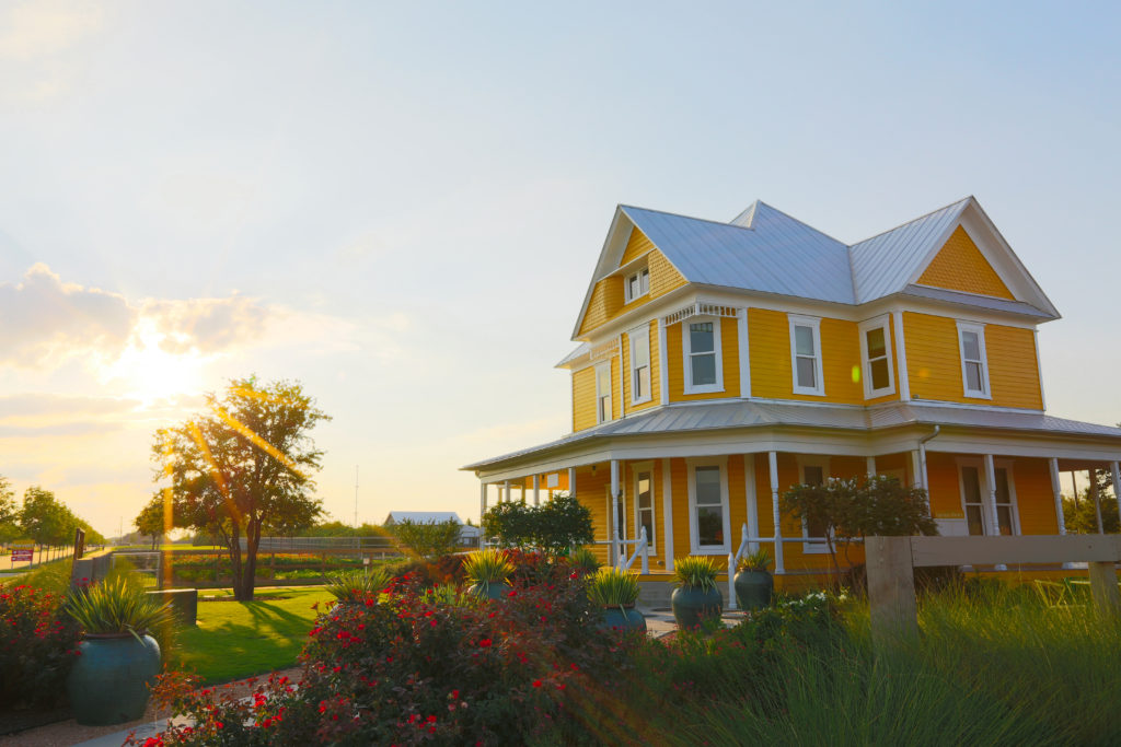 The yellow Farmhouse at Harvest