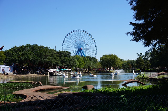 A view of a lake with a ferris wheel in the background in Dallas, Texas