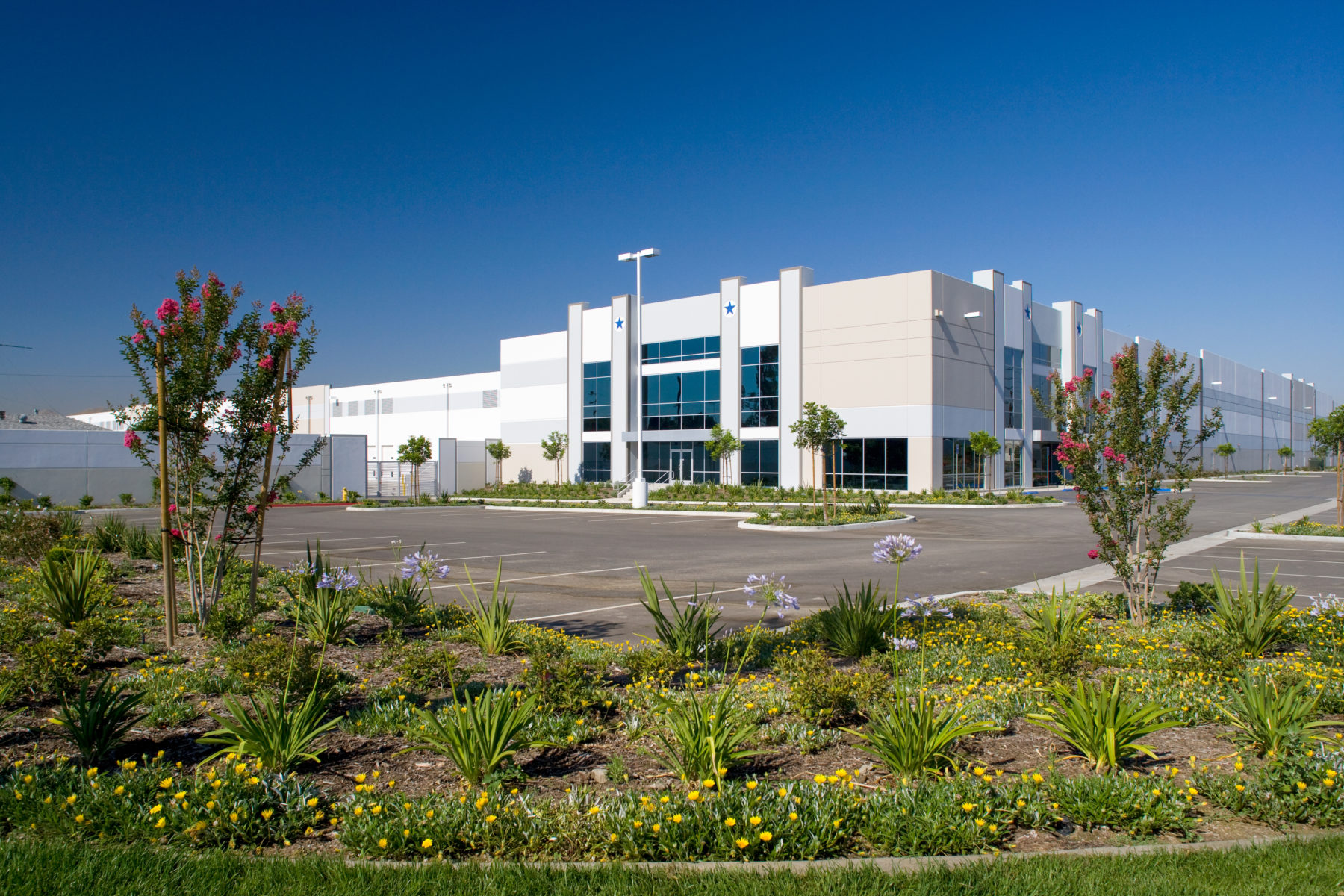 Plantings outside of the AllianceTexas industrial building