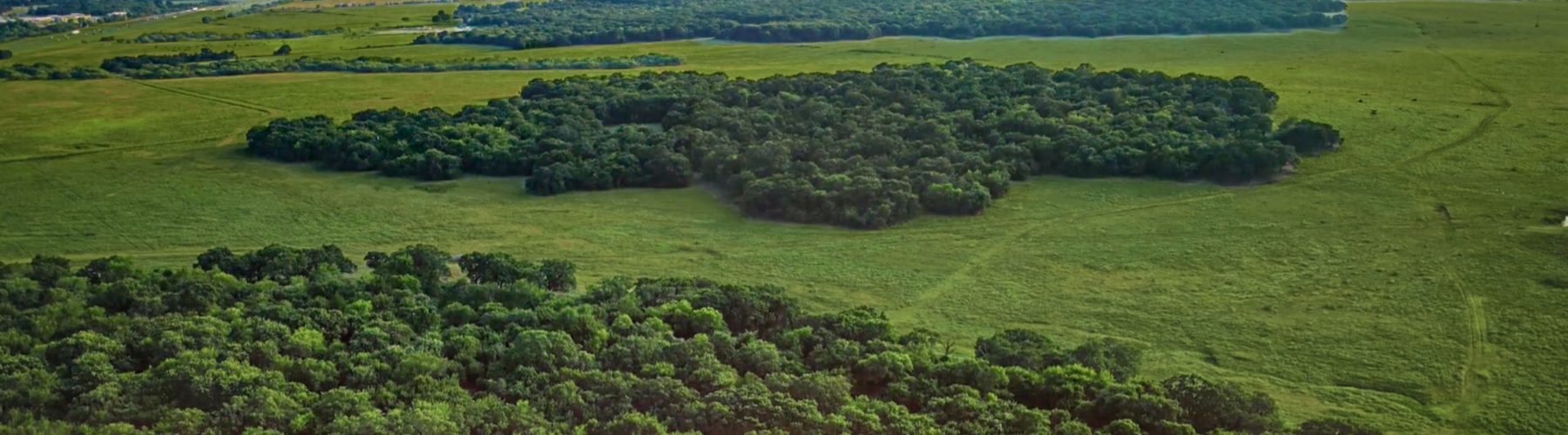 A bird's eye view of the Texas landscape with groves of trees and green grass