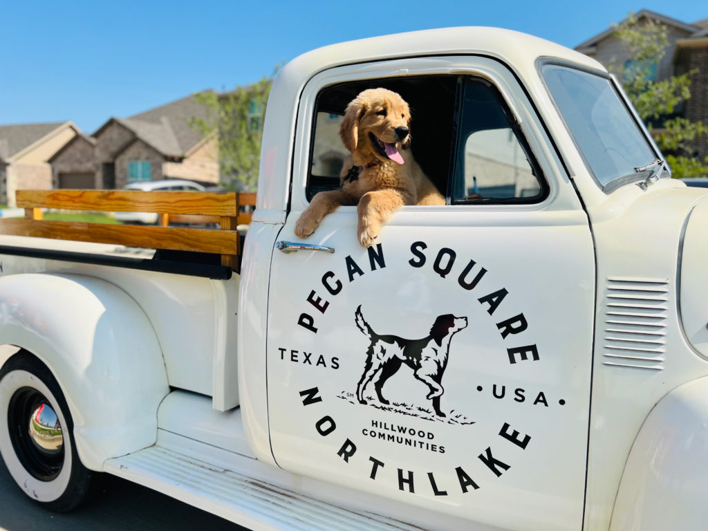 A dog leaning out of the window of the Pecan Square truck in Northlake, Texas